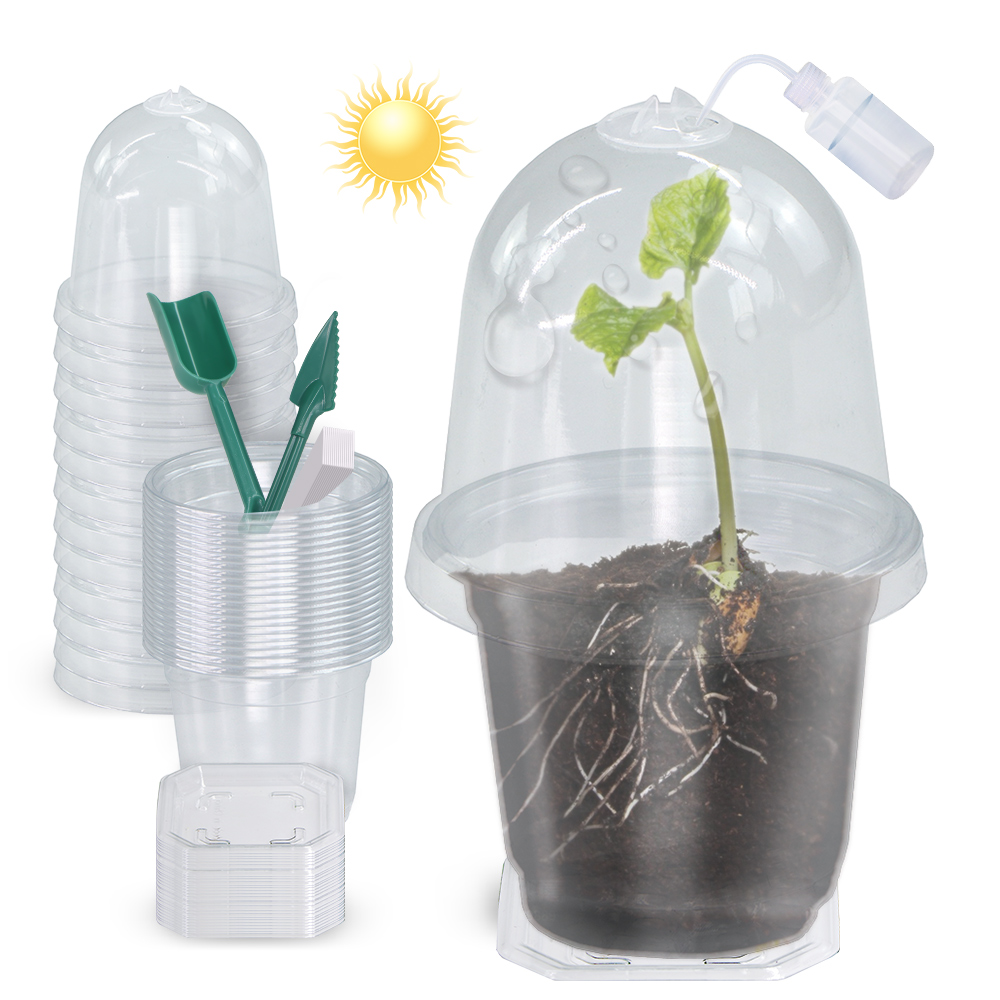 Seed Starter Tray - 160x90CM Zichtbare Duidelijke Planten Kieming Cup