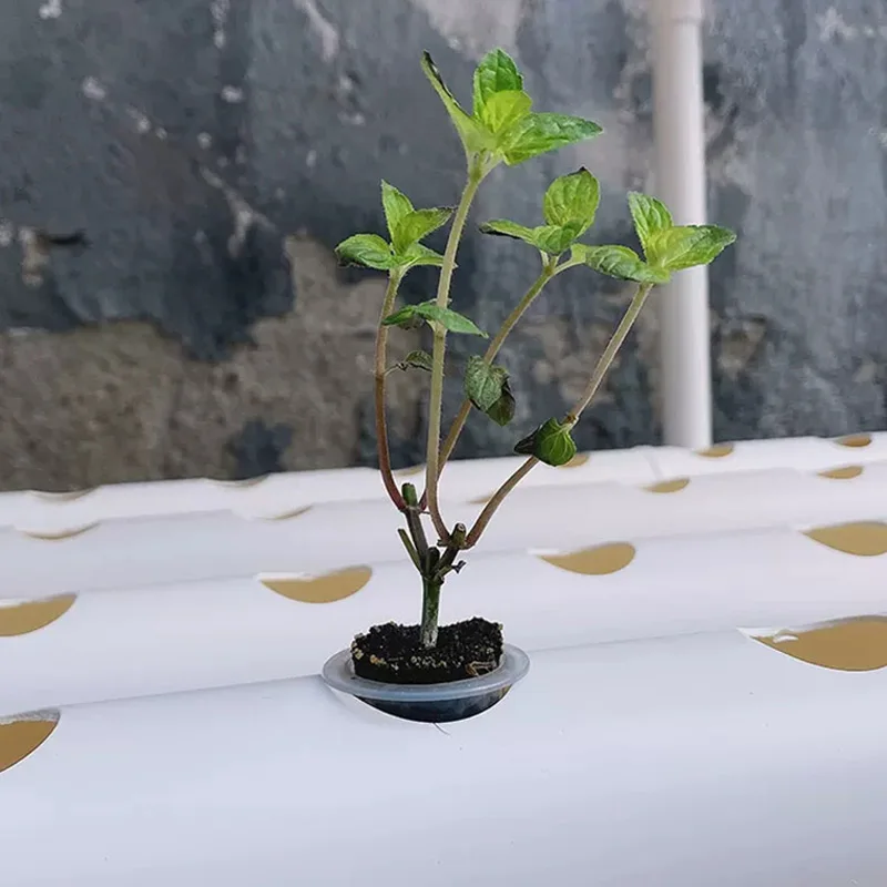 Hydroponic Kit - Set voor een systeem voor groei
