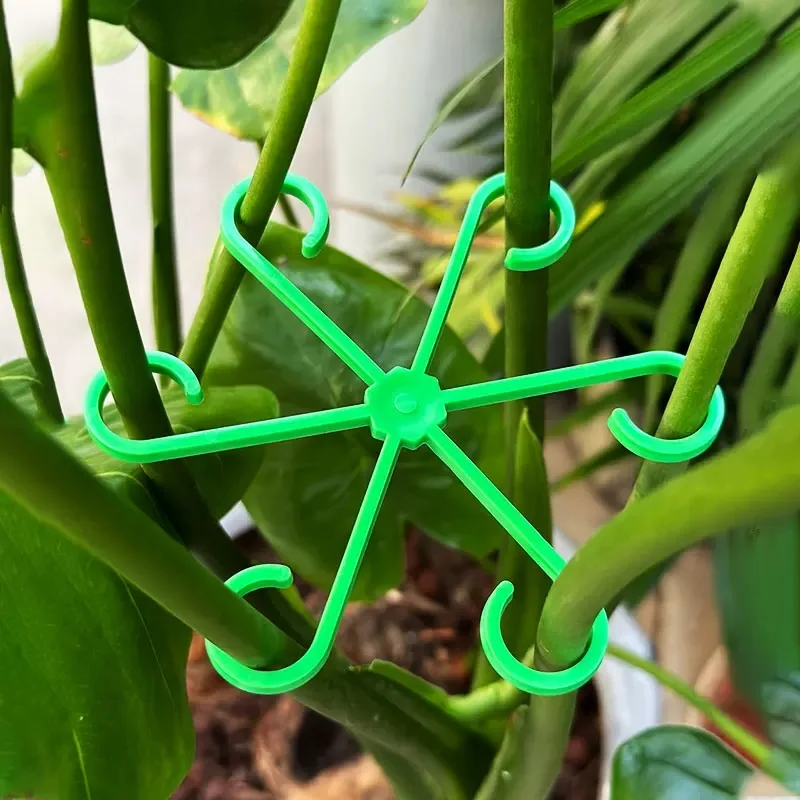 Bloem Plant Stem Ondersteuning - Indoor Herb Garden recensie en prijs