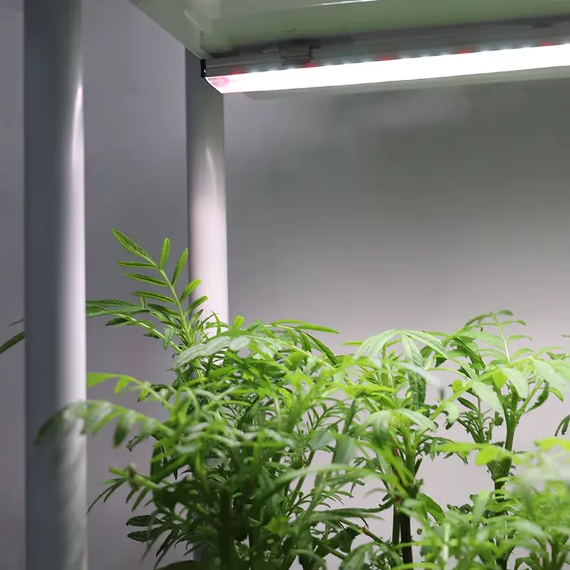 Verplaatsbaar verticaal 3-laag - Vertical Planter recensie en prijs