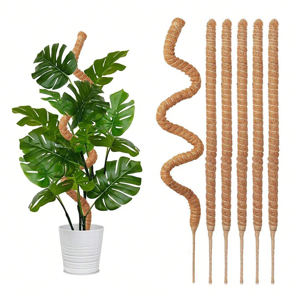 Monstera Plant Mospaal Onderst - Indoor Herb Garden recensie en prijs