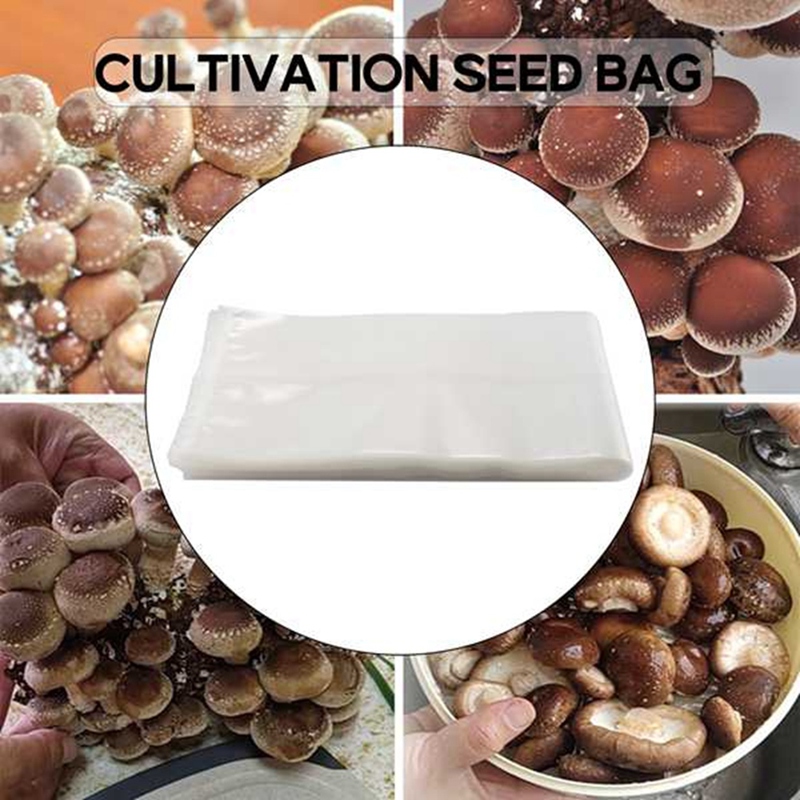 50 stuks paddenstoelzakken/pad - Grow Bag recensie en prijs