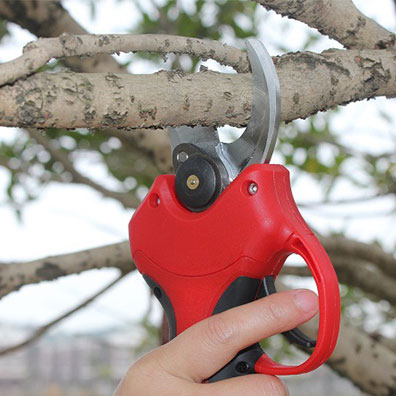 Hoogwaardige antislip-tuinonde - Pruning Shears recensie en prijs