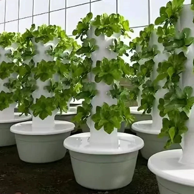 9/11-laags hydrocultuurkweekse - Hydroponic Kit recensie en prijs