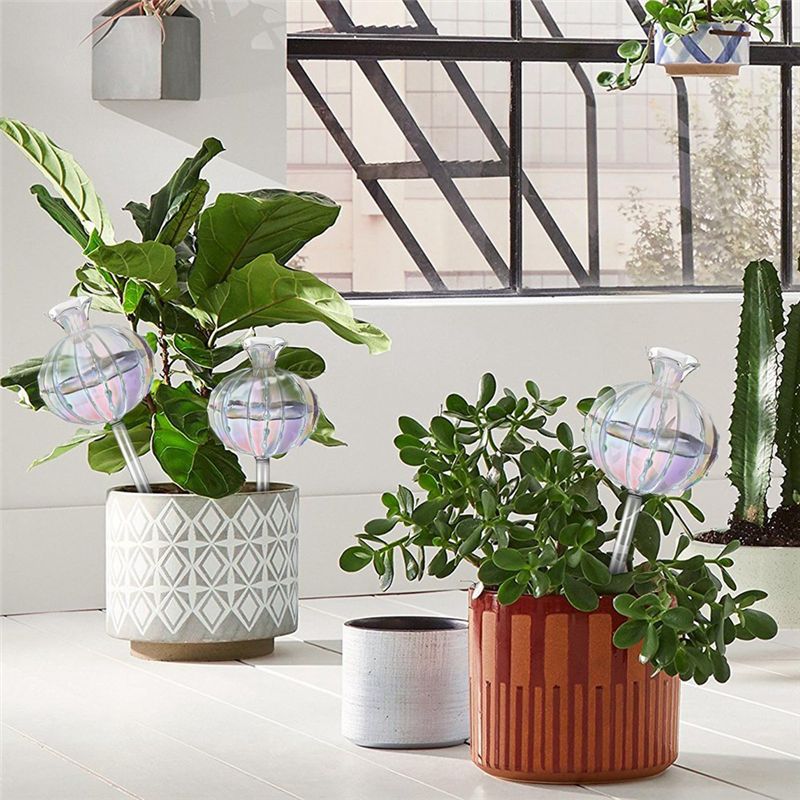 AA94-Plant Watering Bulbs Plan - Self Watering Planter recensie en prijs